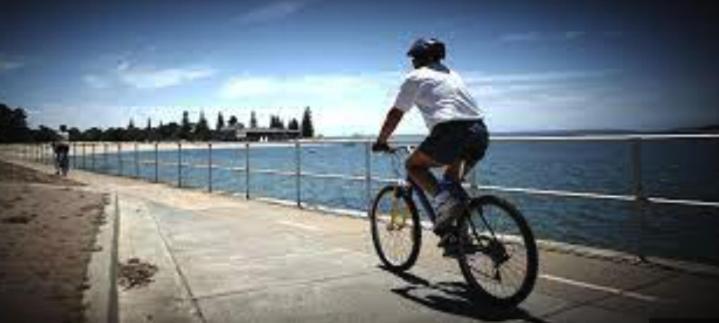 Sunny 2 Bed Restaurants Beach At Door Pets O.K Sydney Esterno foto