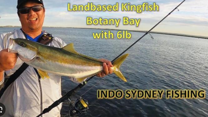 Sunny 2 Bed Restaurants Beach At Door Pets O.K Sydney Esterno foto